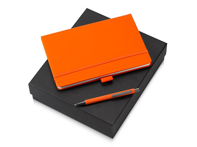 Подарочный набор Vision Pro Plus 2.0 (Оранжевый, серый)