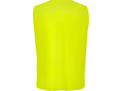 Манишка спортивная Roma, унисекс