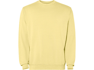 Свитшот Jaya, унисекс (Солнечно-желтый выстиранный)