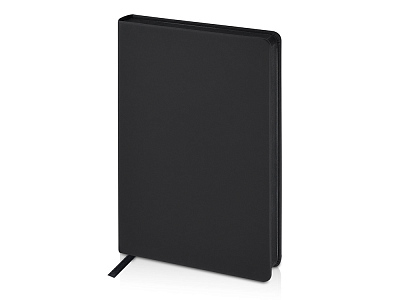 Ежедневник А5 датированный Megapolis Color на 2026 год (Чёрный)