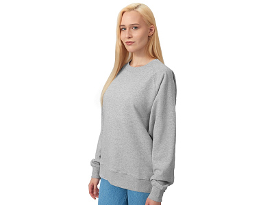 Свитшот оверсайз с рукавом реглан Belgrade, унисекс