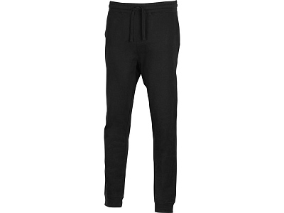 Брюки Motion с начесом мужские (Чёрный)