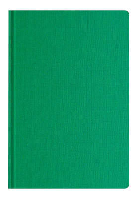 Ежедневник Caribe (Зеленый)