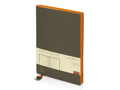 Ежедневник недатированный А5 Mercury (Серый/оранжевый)