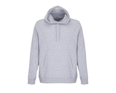 Свитшот CONSTELLATION (Серый)