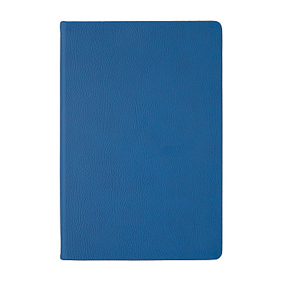 Ежедневник А5 датированный Megapolis Nappa на 2027 год
