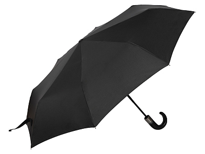 Зонт складной Fabrizio, автомат (Чёрный)