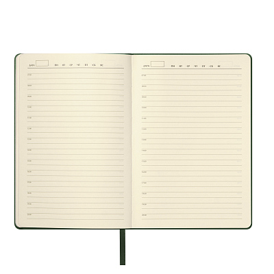 Ежедневник Молто (Molto) недатированный, зеленый (без упаковки, без стикера)