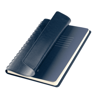 Ежедневник Vista Neo недатированный, синий (Синий, бежевый)