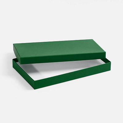 Коробка Horizon, зеленая (Зеленый)