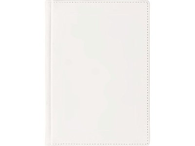 Ежедневник недатированный А5 Velvet