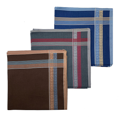 Платки носовые мужские "G" 45440д