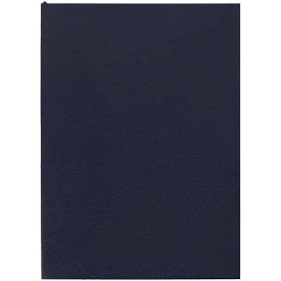 Ежедневник Flat Light, недатированный, иссиня-черный (Чёрный)