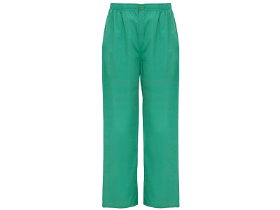 Брюки Vademecum, унисекс (Нежно-зеленый) Брюки Vademecum, унисекс (Нежно-зеленый)