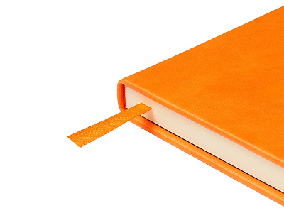 Ежедневник недатированный А5 Premier