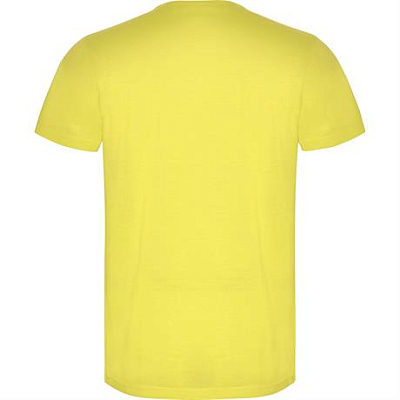 Футболка AKITA мужская, ФЛУОРЕСЦЕНТНЫЙ ЖЕЛТЫЙ 2XL