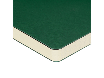 Ежедневник недатированный А5 Megapolis Velvet Flex