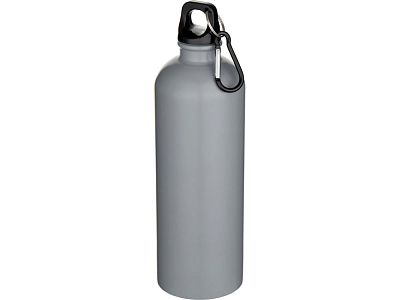Бутылка для воды с карабином Орегон, нержавеющая сталь, 750 мл (Серый)