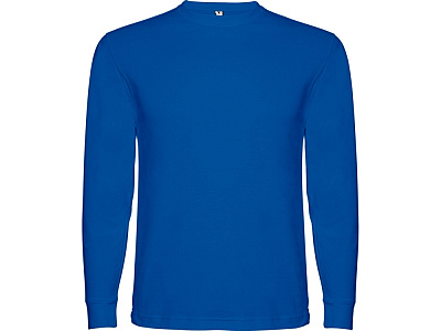 Футболка с длинным рукавом Pointer мужская (Королевский синий)