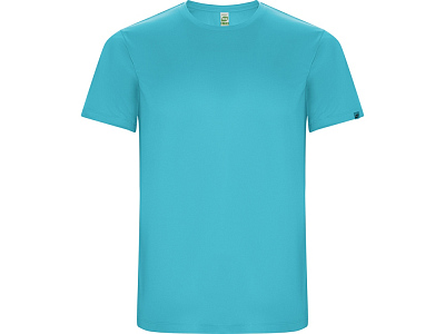 Спортивная футболка Imola мужская (Бирюзовый)