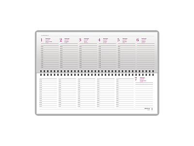 Планинг датированный Velvet на 2026 год