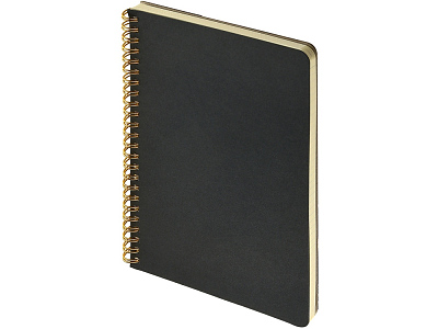 Бизнес тетрадь А5 Pragmatic (Чёрный)