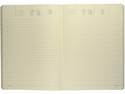 Ежедневник недатированный B5 Megapolis Flex