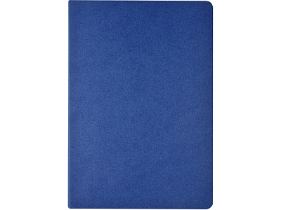 Бизнес-тетрадь А4 Pragmatic