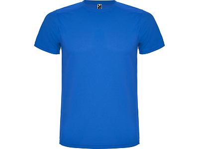 Спортивная футболка Detroit мужская (Королевский синий/светло-синий)