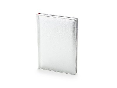 Ежедневник недатированный А6+ Sidney Nebraska с золотым срезом (Серебристый)