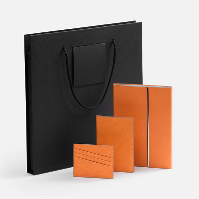 Набор Petrus Flap  (Оранжевый)