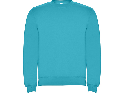 Свитшот с начесом Clasica унисекс (Бирюзовый)