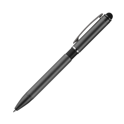 Шариковая ручка АйПи Хамелеон (IP Chameleon), черная (Серый, черный)