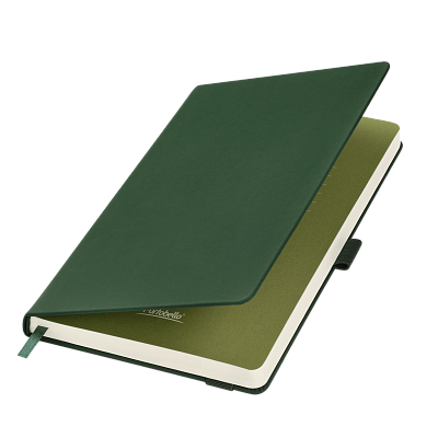 Ежедневник Alpha недатированный, зеленый/оливковый (Зеленый, бежевый)