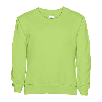 Свитшот детский STAN футер без начёса, 260, 63J (Весенний)