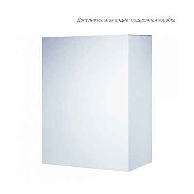 Бизнес рюкзак Таллер (Taller)  с USB разъемом, черный