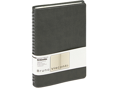 Ежедневник А5 Tintoretto (Серый)