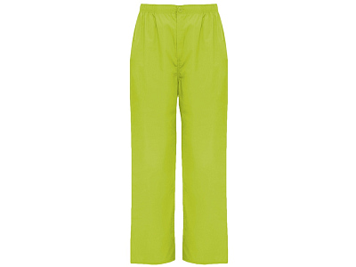 Брюки Vademecum, унисекс (Фисташковый)