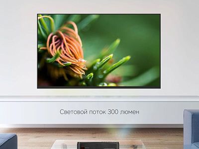 Проектор Ray L300