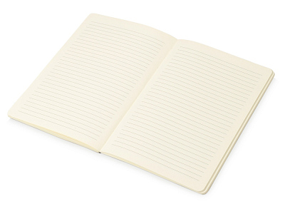 Блокнот А5 Wispy