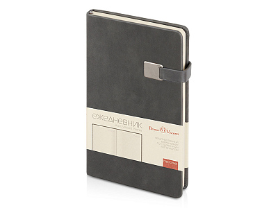 Ежедневник недатированный А5 Premier (Серый)