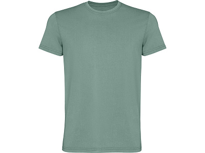 Футболка Corgi, мужская (Сине-зеленый выстиранный)