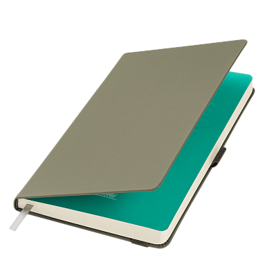 Ежедневник Alpha недатированный, серый/бирюзовый (Серый, бирюзовый, бежевый)