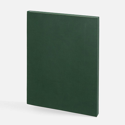 Ежедневник Flat Maxi, недатированный , ver.2 (Зеленый)