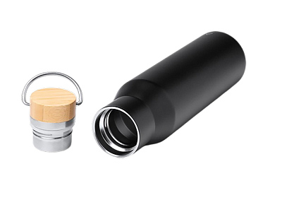 Термобутылка с ручкой Мэйер, 550 мл