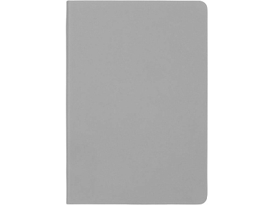Бизнес-блокнот А5 C2 soft-touch