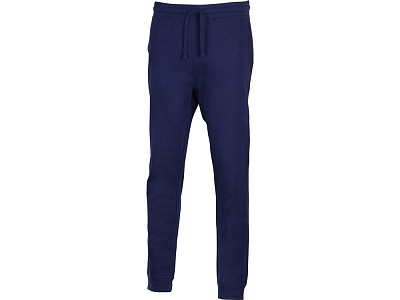 Брюки Motion с начесом мужские (Тёмно-синий)