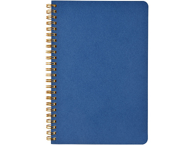 Бизнес тетрадь А5 Pragmatic