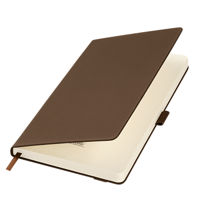 Ежедневник Alpha недатированный, коричневый/бежевый (Коричневый, бежевый)