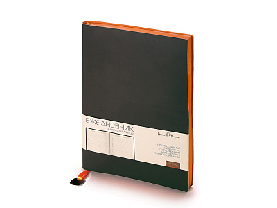 Ежедневник недатированный А5 Mercury (Чёрный)